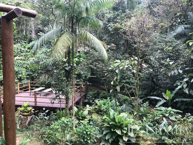 Casa de Praia para Venda em São Sebastião - 4