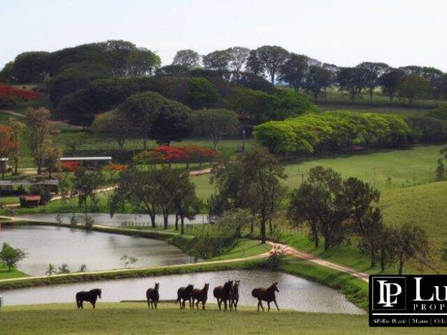 #1366 - Haras para Venda em Santo Antônio de Posse - SP - 3