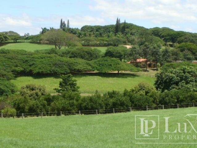 Haras para Venda em Santo Antônio de Posse - 4