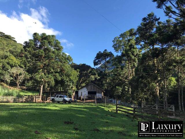 #1937 - Fazenda para Venda em Itati - RS - 1