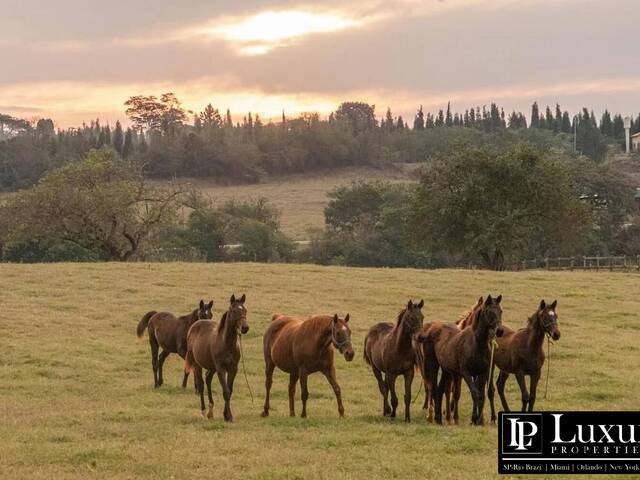 #1942 - Haras para Venda em Cesário Lange - SP - 1