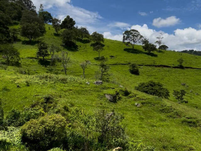 Terreno para Venda em São Bento do Sapucaí - 4