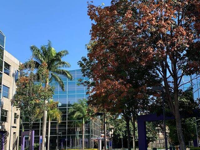 Conjunto Comercial para Venda em São Paulo - 3