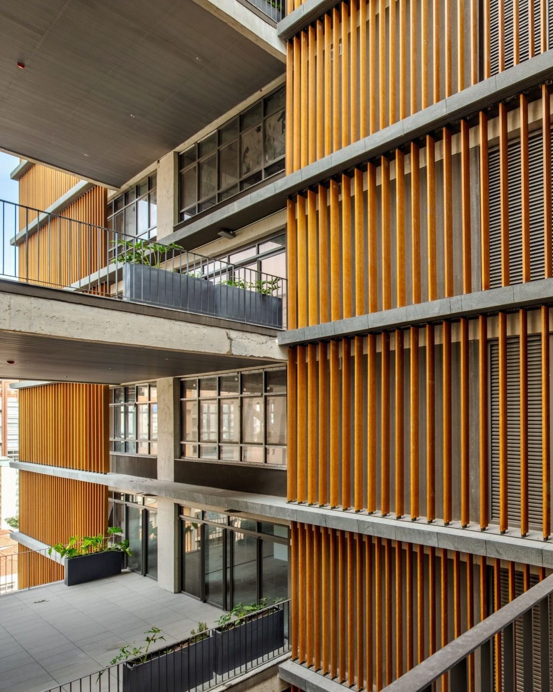 Apartamento para Lançamento em São Paulo - 4
